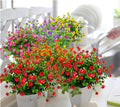 Grunyia 10 Bundles Artificial Fake Flowers, Faux Outdoor Plastic Plants UV Resistant Shrubs Outside Indoor Decorations (Red-Eucalyptus)