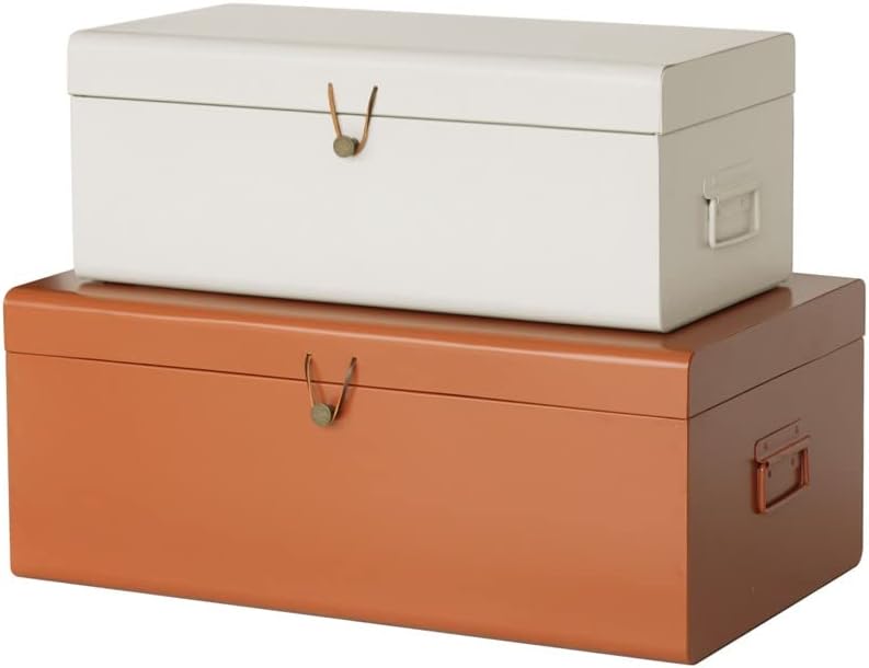 American Atelier Daven Decorative Metal Box Trunks | Set of 2 | Vintage Style Storage with Loop Closures
